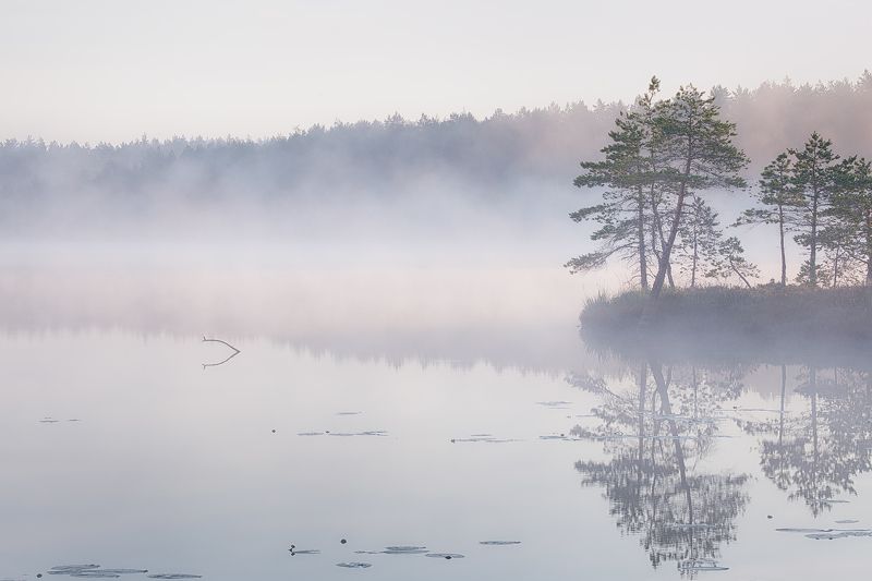Утро фото превью