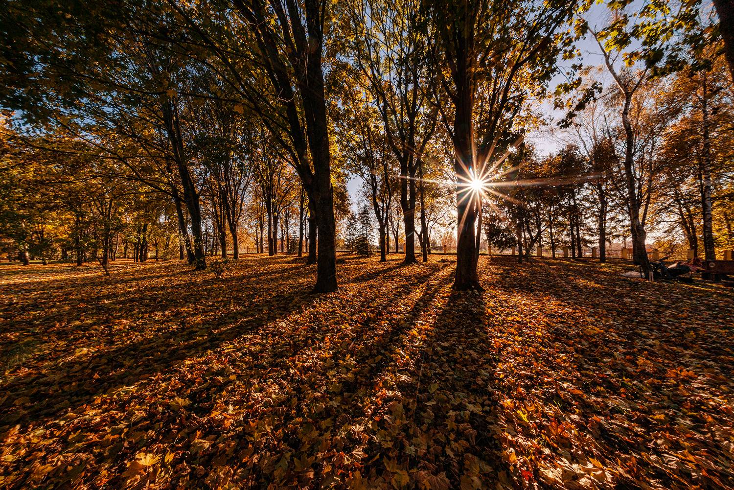 , Владимир Ноздрачев