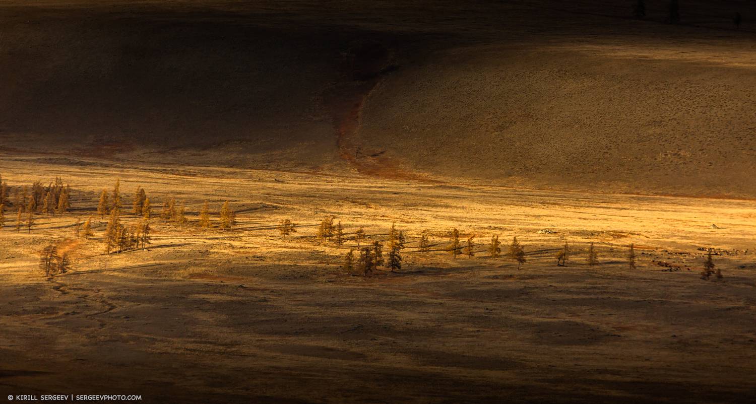 природа, пейзаж, панорама, алтай, сибирь, россия, курайская степь, горный алтай, природа, осень, время года, алтайский край, степь, nature, landscape, panorama, altai, siberia, russia, mountain altai, autumn, season, altai region, steppe, nature, Сергеев Кирилл