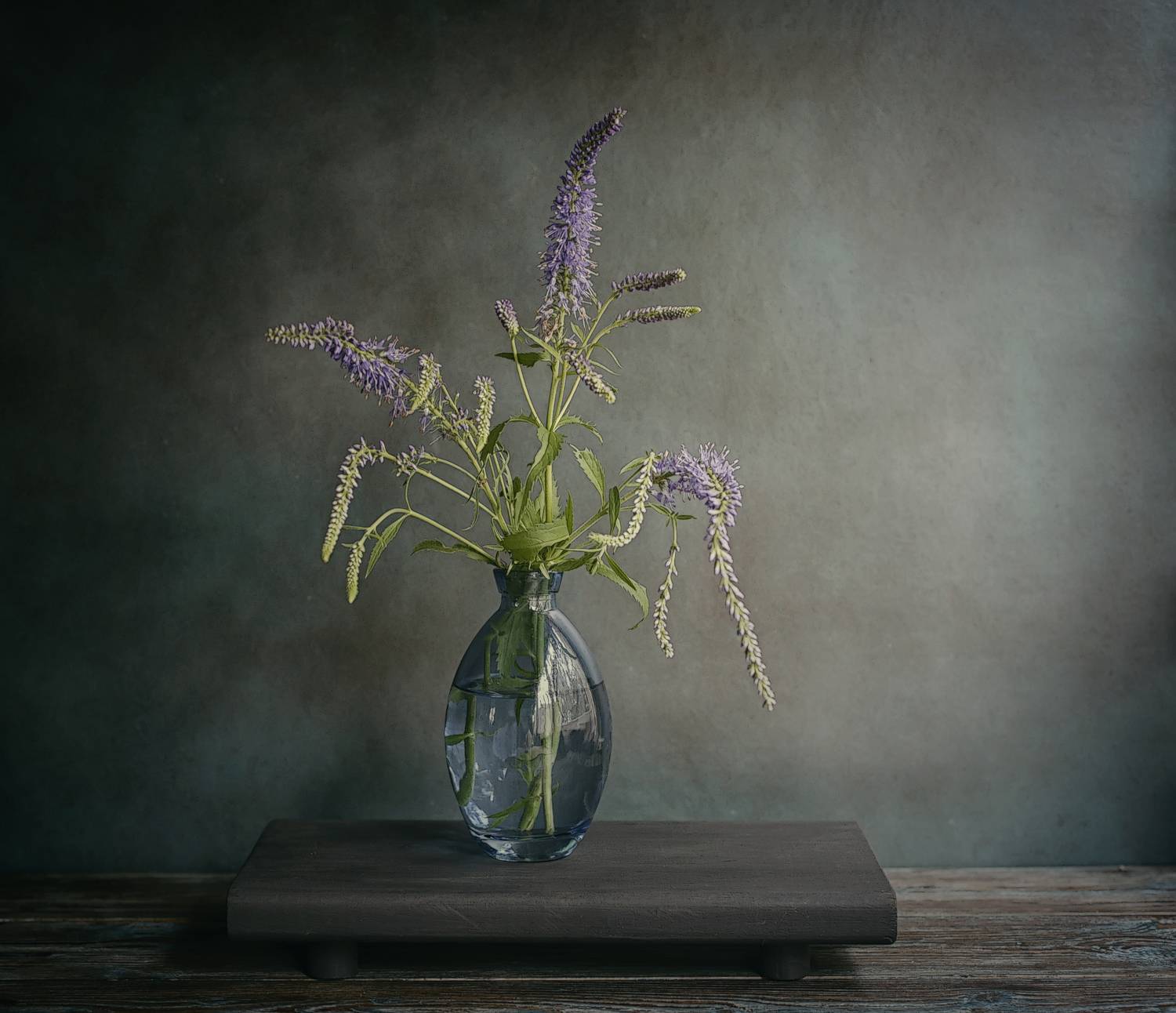 цветы вероники, натюрморт, фотограф виталий стасов, Стасов Виталий