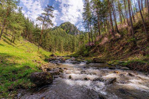 Весна на Алтае