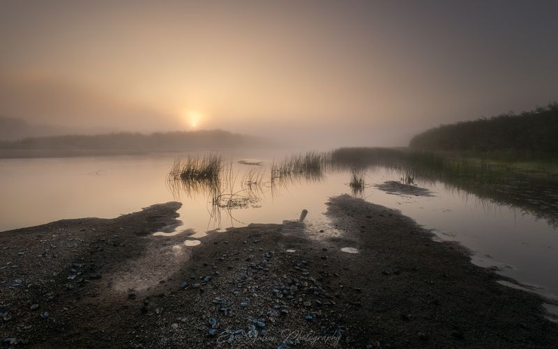 пейзаж, природа, кологрив Туман над рекой. Рассвет. фото превью