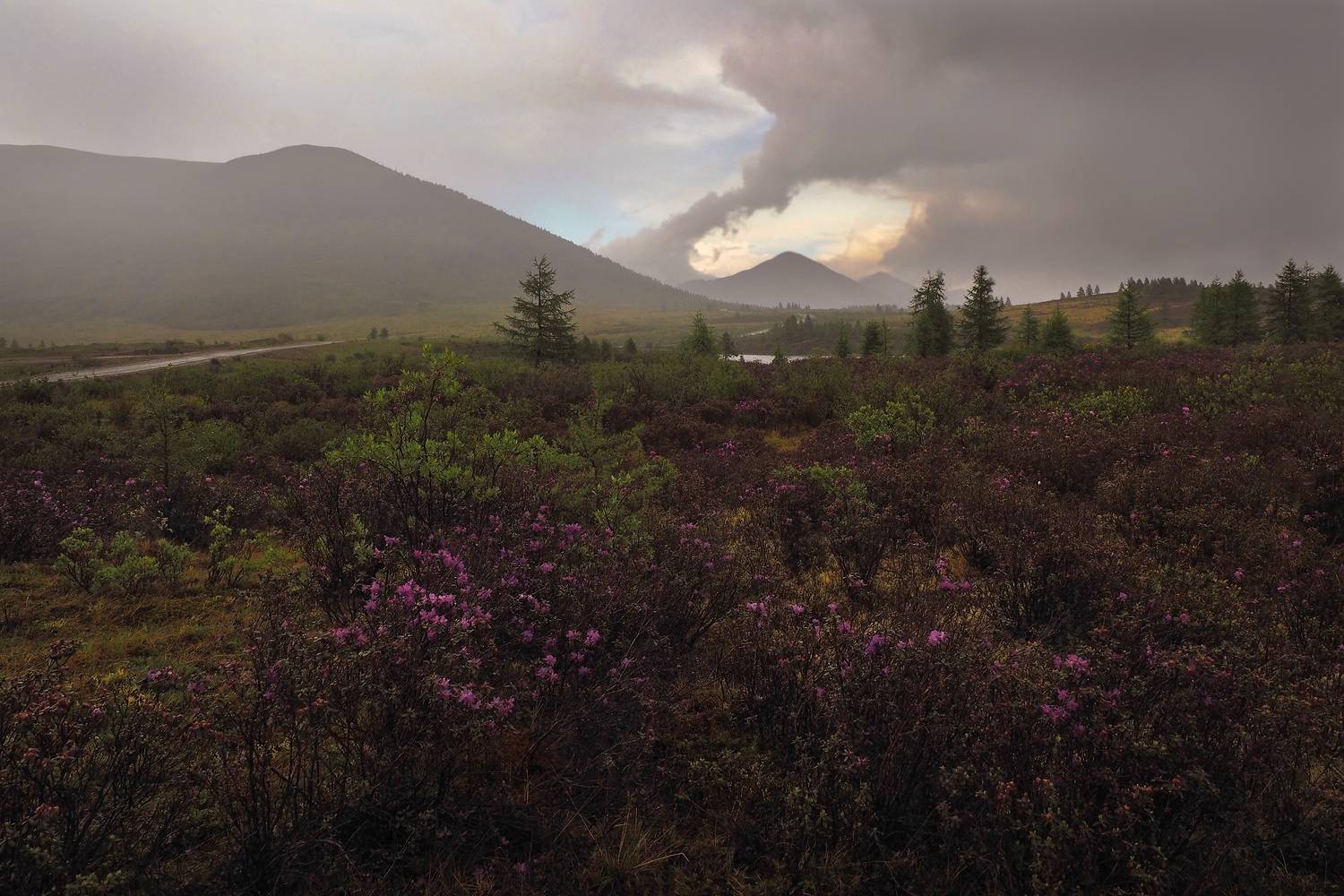 , Александр Попов