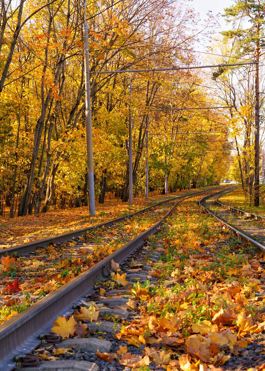 Россия, Москва, осень, трамвай, Лариса Дука