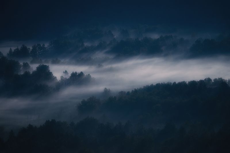 Туманным утром сентября фото превью