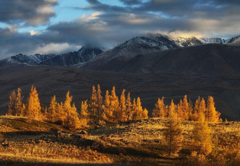 Осенних лиственниц пожар фото превью