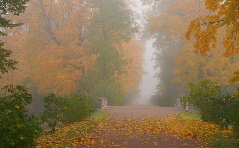 Morning in October фото превью