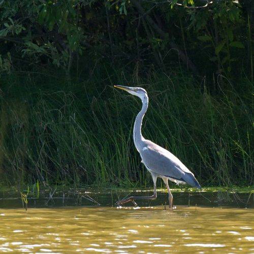 Рыбное место