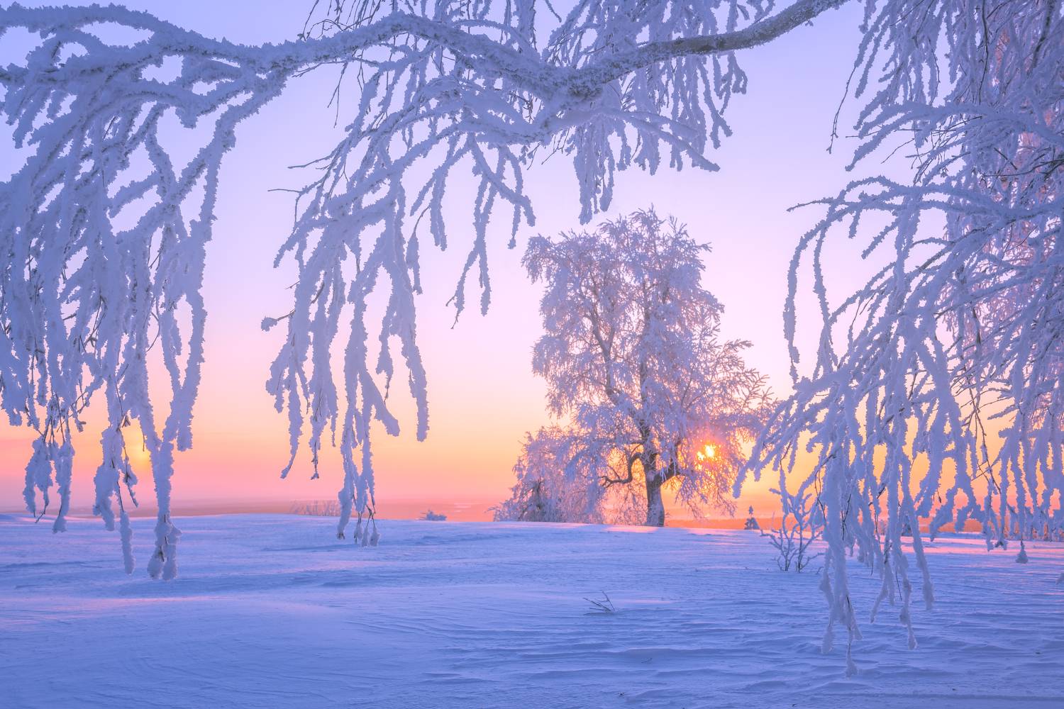 , Евдокимов Максим