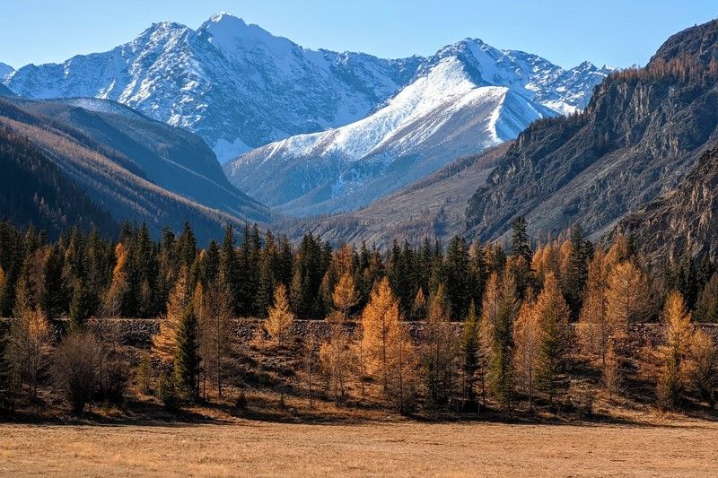 Горный Алтай осень фото превью
