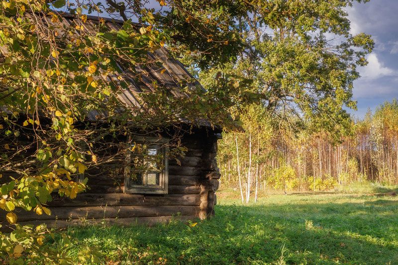 Избушка на опушке фото превью