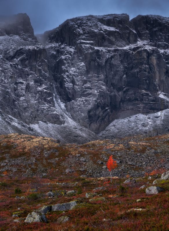 Краски осени фото превью