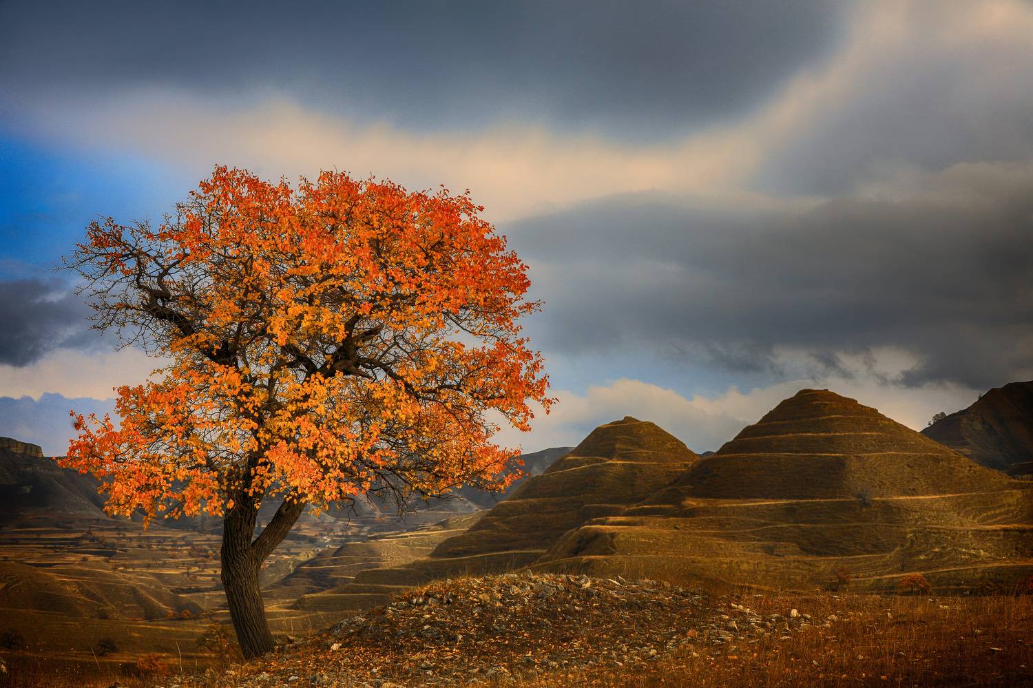 , Андрей Ершов