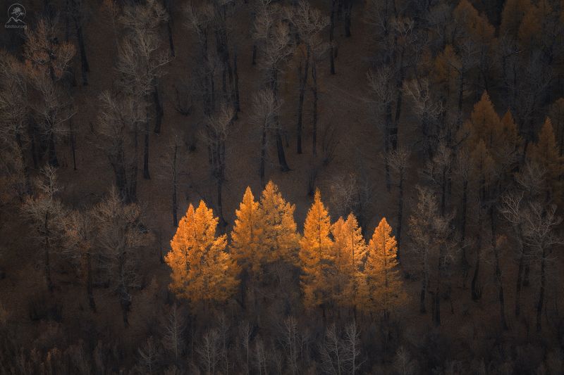 алтай, фототур по алтаю, осень, горы, горный алтай, республика алтай, чаган-узун СВЕТЛЯЧКИ фото превью