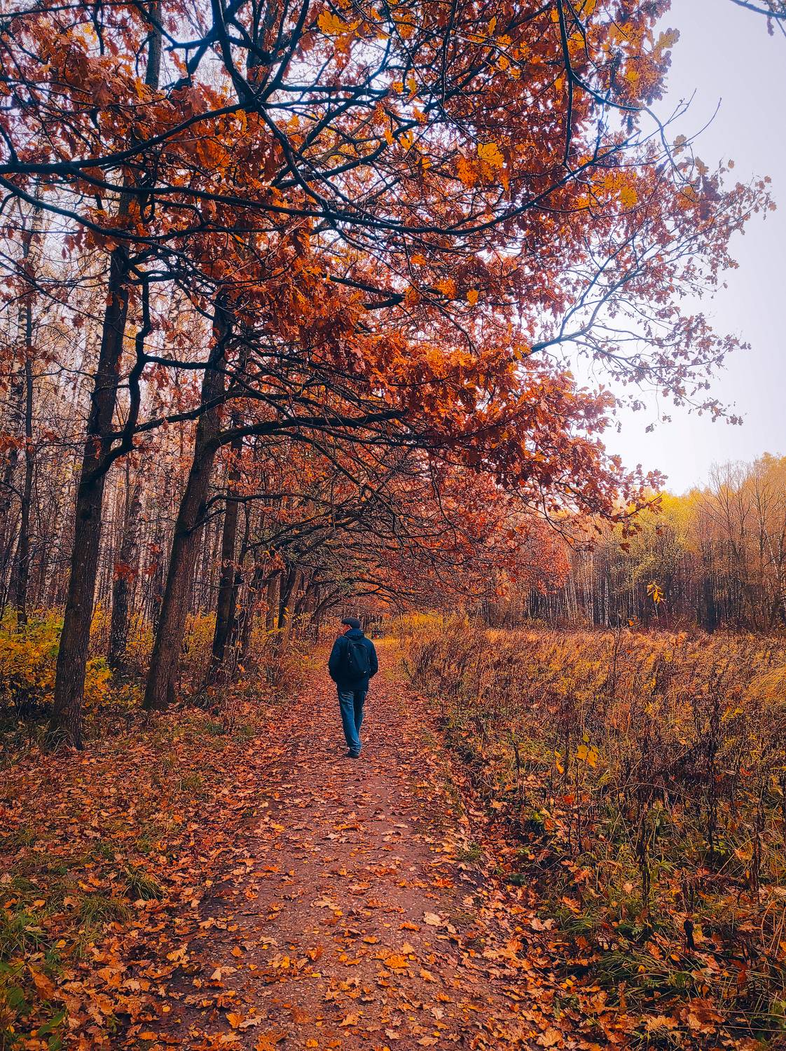 , Фото Александр