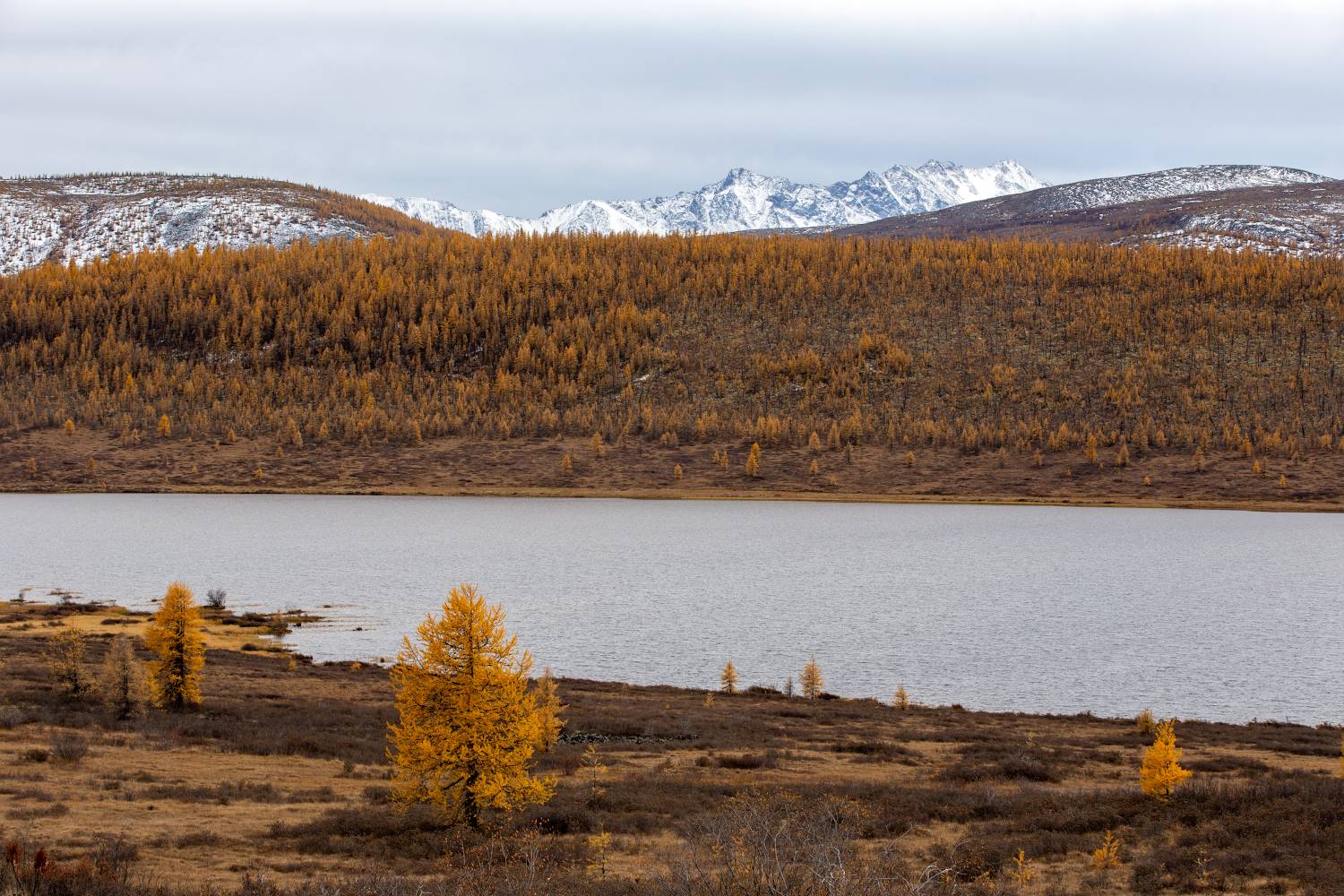 , Буянов Илья