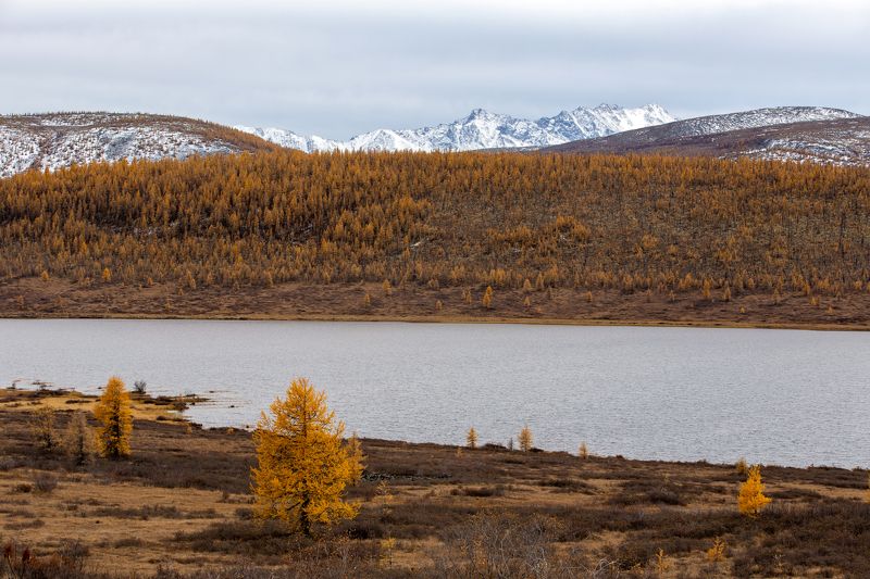 озеро Окинское фото превью