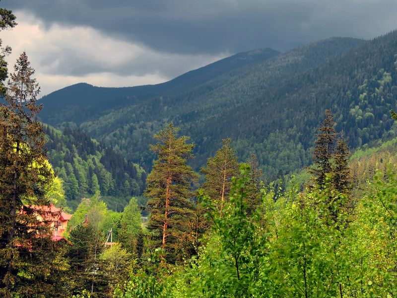 фото превью