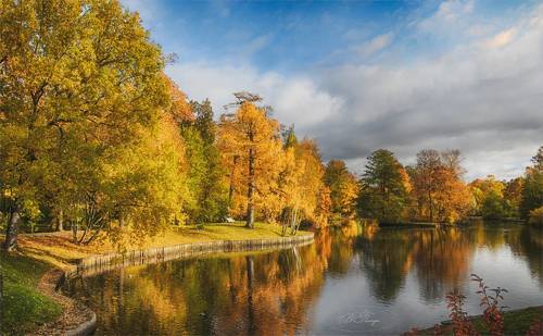 Солнечная осень