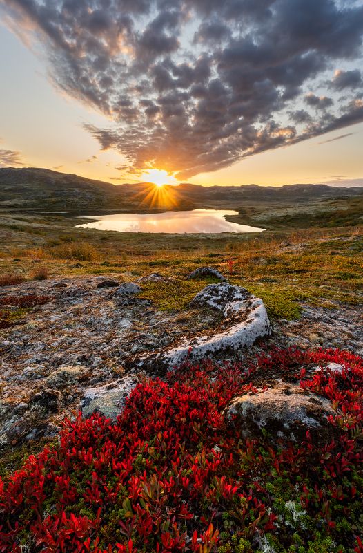 Landscape  фото превью