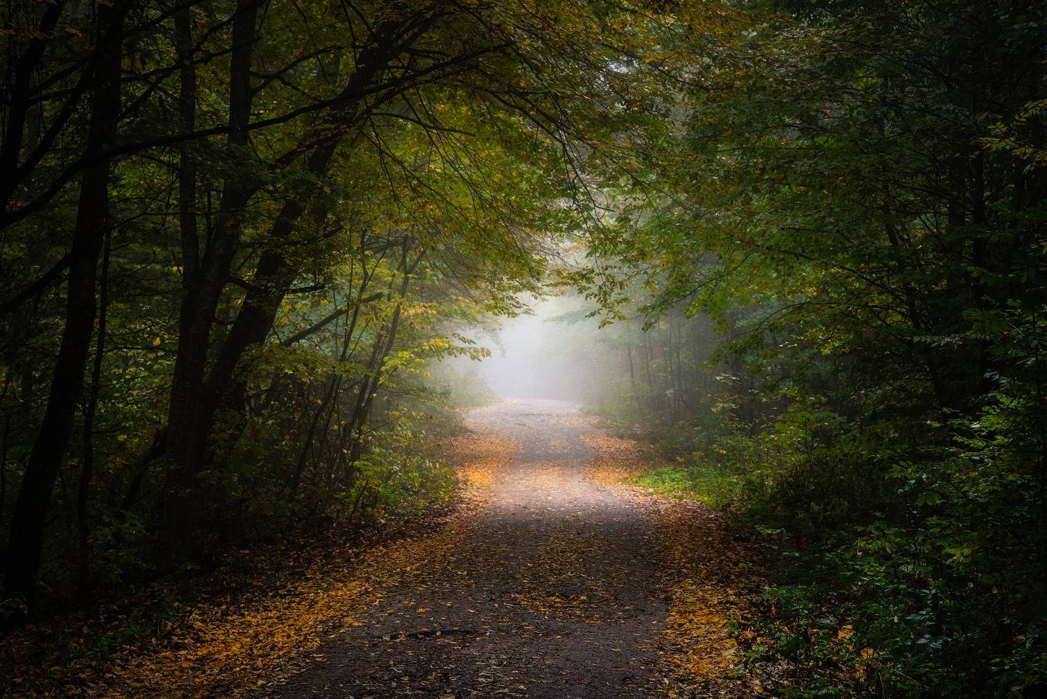 , Шевченко Юрий