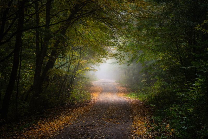 Портал в осень  фото превью