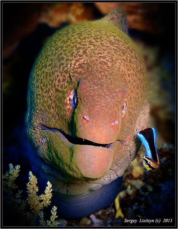 Подозрительная личность. фото превью