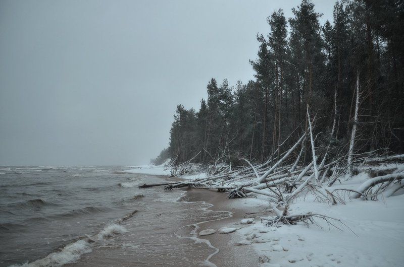 Убить дракона (2) фото превью
