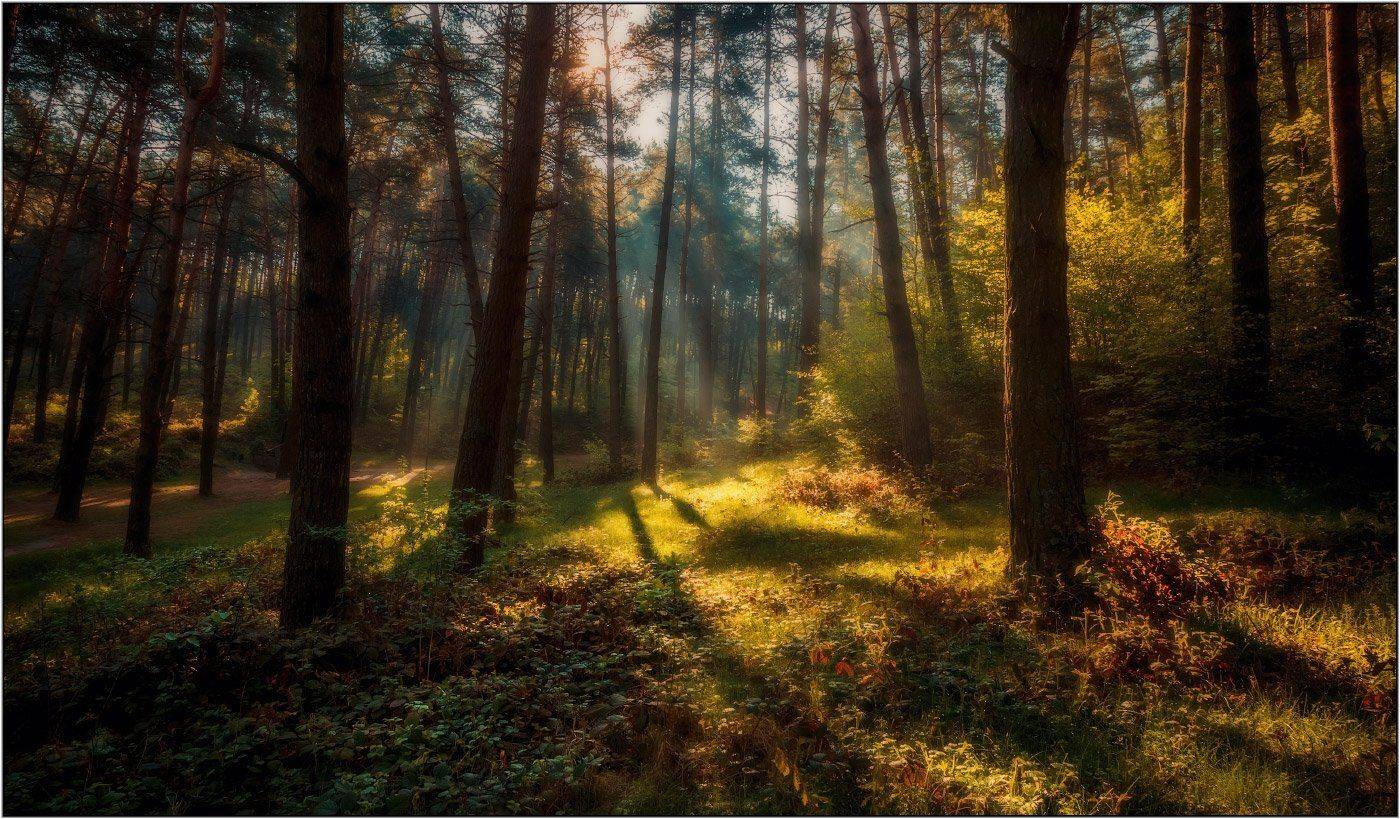 , Рудченко Анатолий