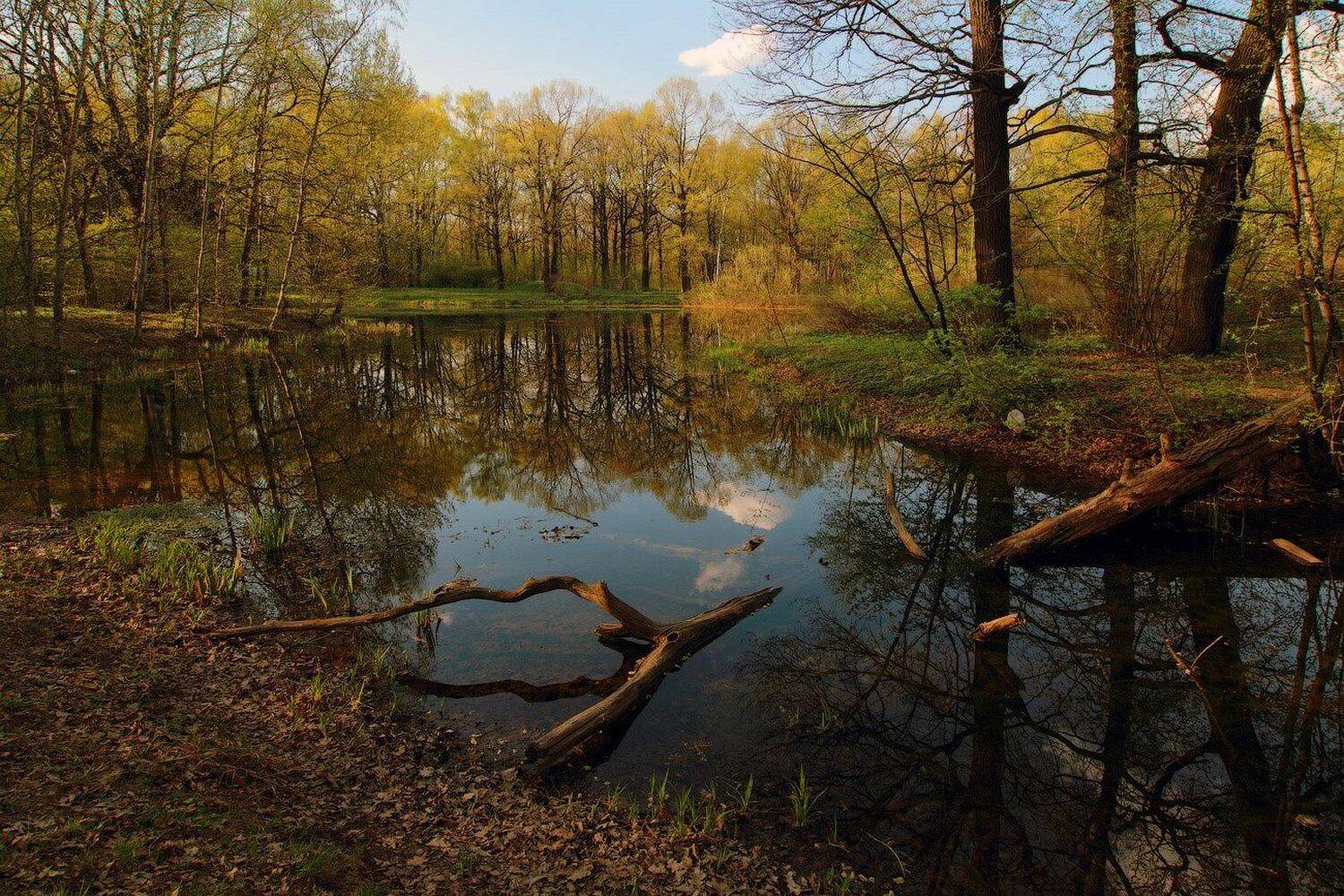 , Виктор Климкин