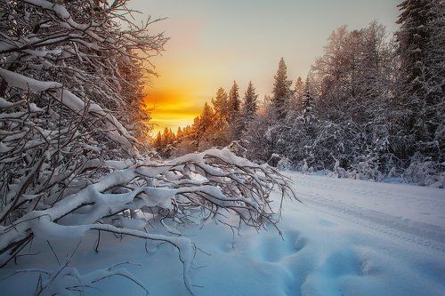 Russian North: Kola Peninsula.