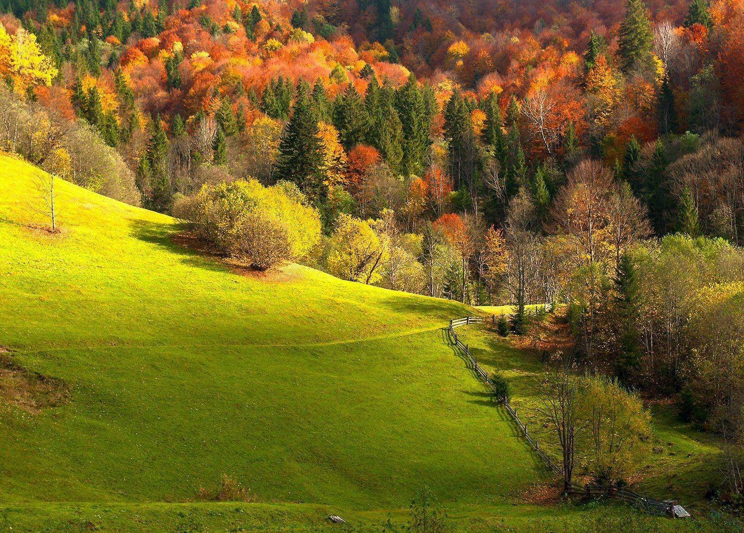 , Валерий Смирнов