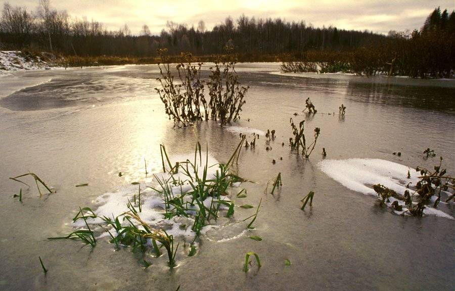 , Павел Мартюшев