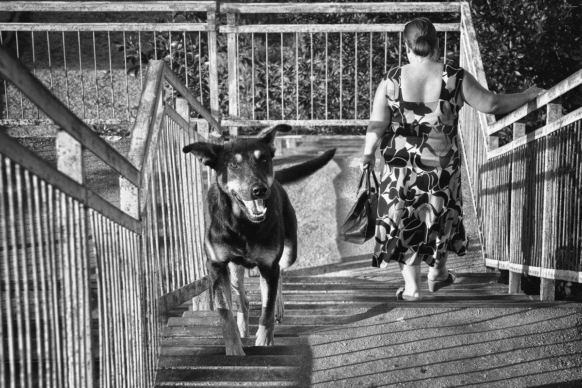 , Роман Красов