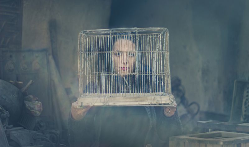 TABOo, HIDE, NUDITY, CLOSET, FEMALE, RESTRICTION, IRAN, IRANIAN, WOMAN, PROTEST, HUMAN, RIGHT, MOOD, CAGE, FACE, SENSE, EYE, LOOK, GLANSE, PRISONER, DISCRIMINATION, SEXISM, VIOLENCE, Taboo фото превью