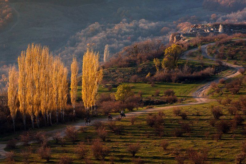 Ноябрьские прогулки фото превью
