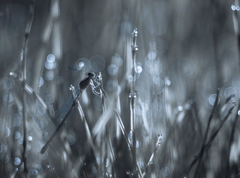 Вспомним теплые деньки... фото превью