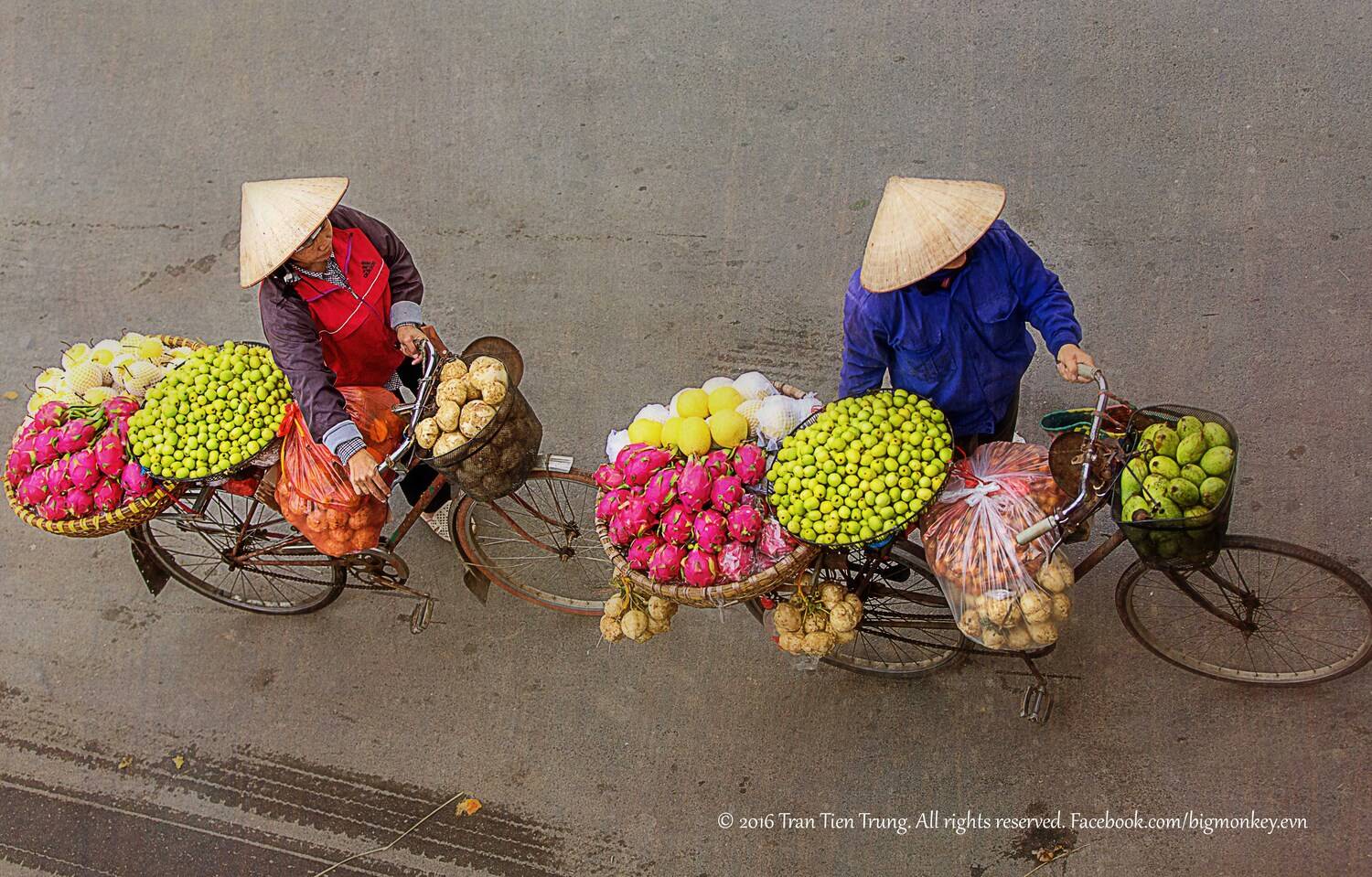 color, Trần Tiến Trung