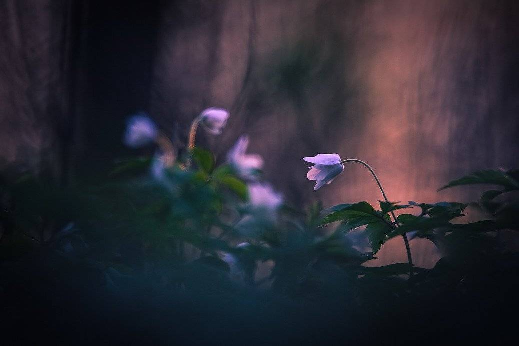 , Вячеслав Мищенко