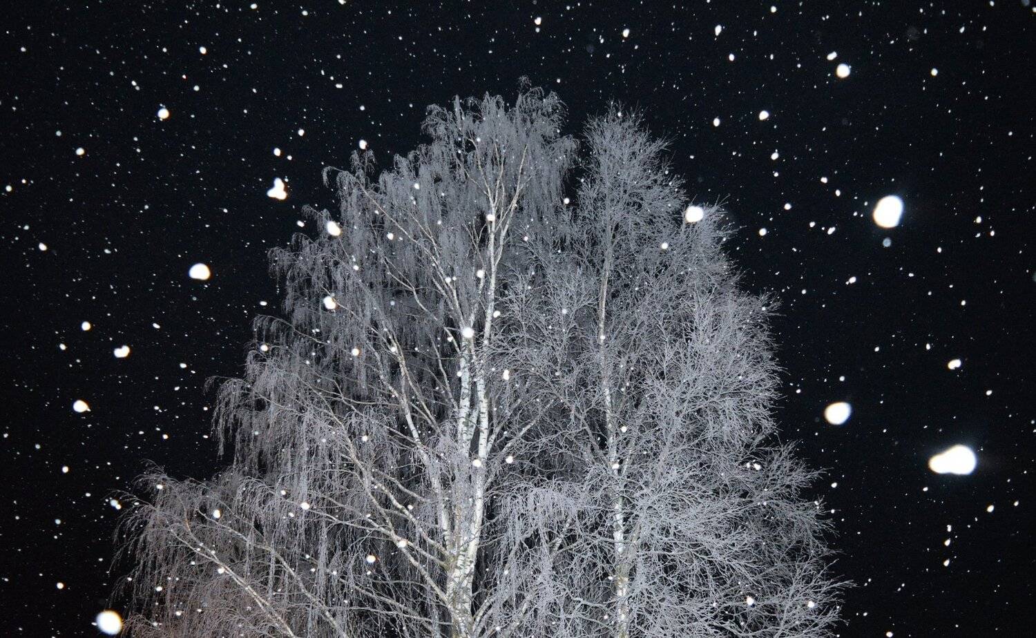 , Марина Никулина