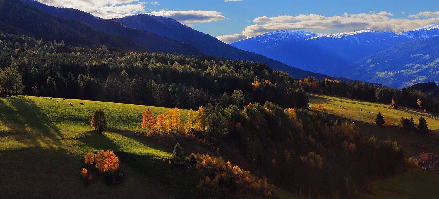 , Игорь Дубровский