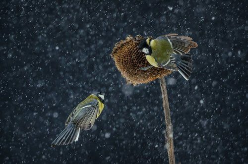 Атака