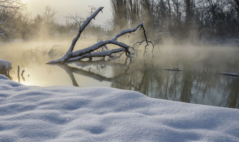 Январским утром фото превью