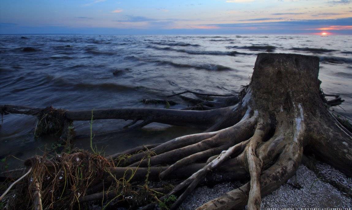 Рыбинское, Ярославская область, Алексей Лобанов