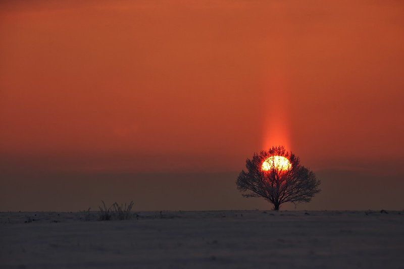 пылающий фото превью
