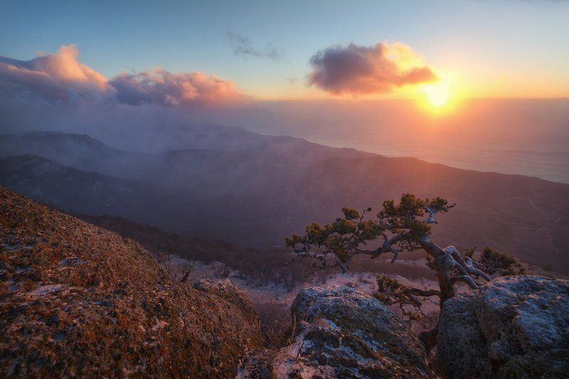 Новогоднее утро фото превью