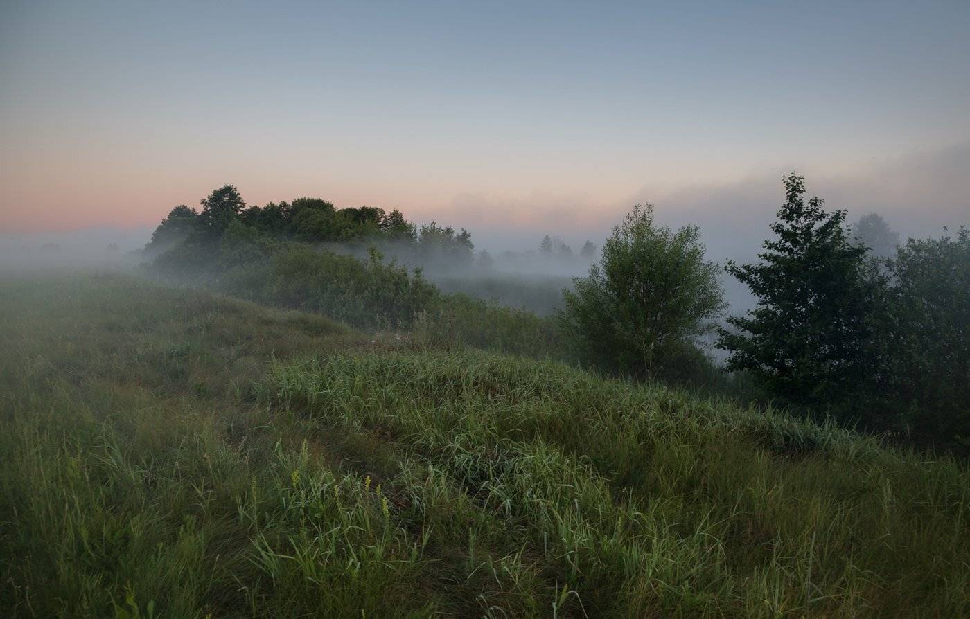 , Александр Бредихин