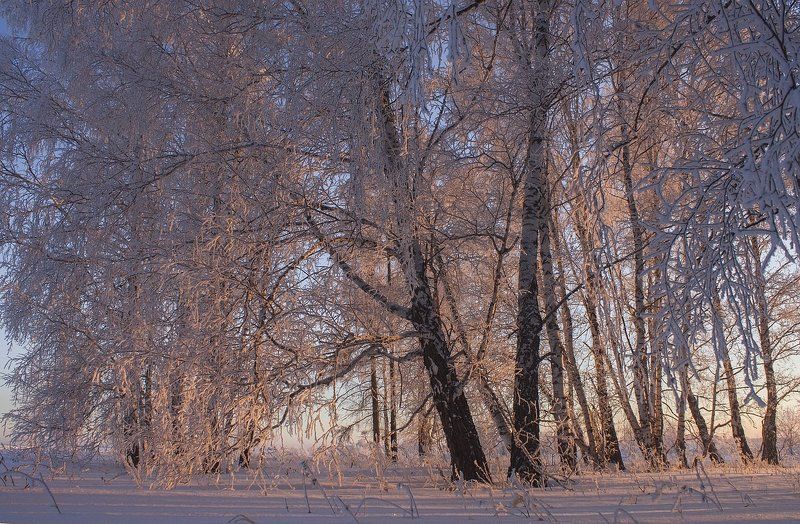 В царстве вечернем холодной зимы фото превью