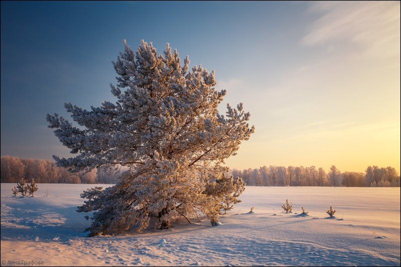 аня графова, мороз, нсо, утро Морозное утро фото превью