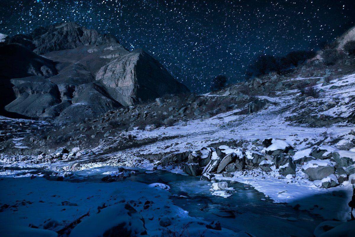 , Елена Брежицкая